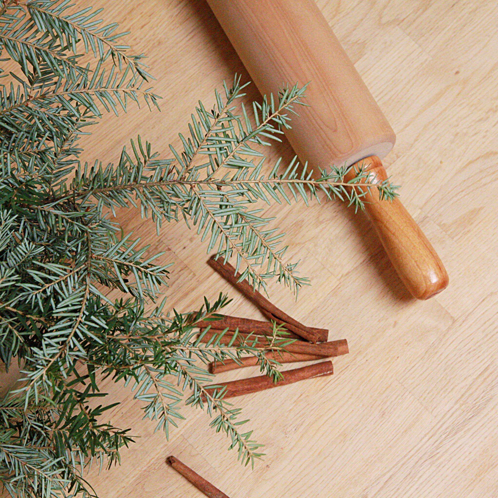 Evergreen plant with cinnamon sticks and a rolling pin beside it.