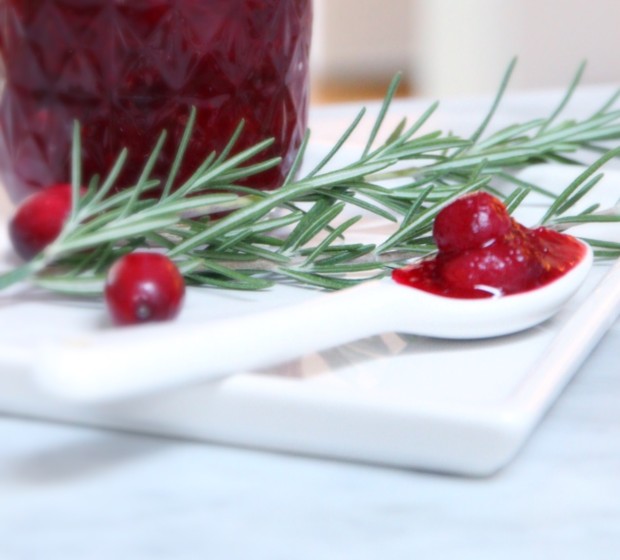 A spoonful of the cranberry sauce on a plate.