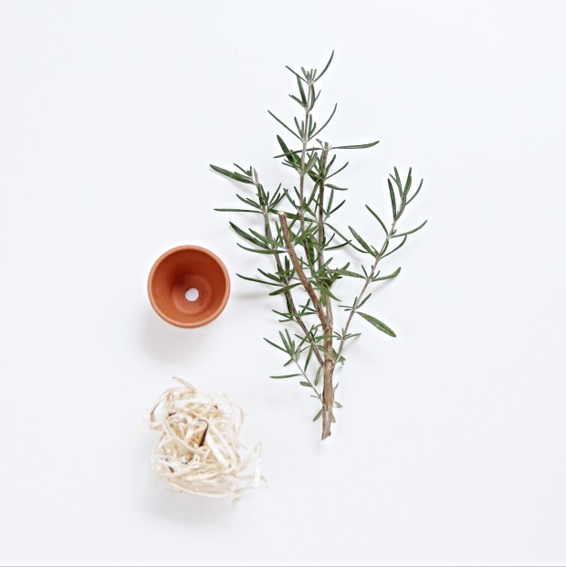 Rosemary, a pot and string on the counter.