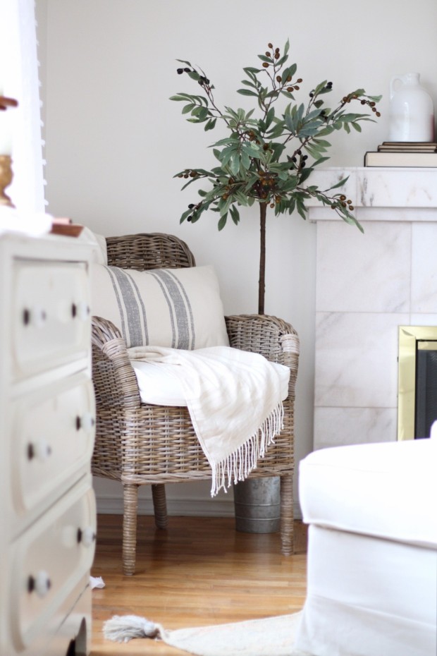 A faux olive tree in the corner of the room.