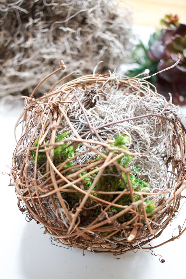 Putting moss inside the sphere.