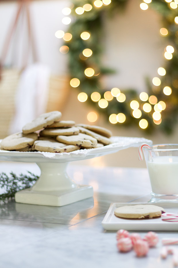 Bloggers Cookie Exchange – Old Fashioned Cookies