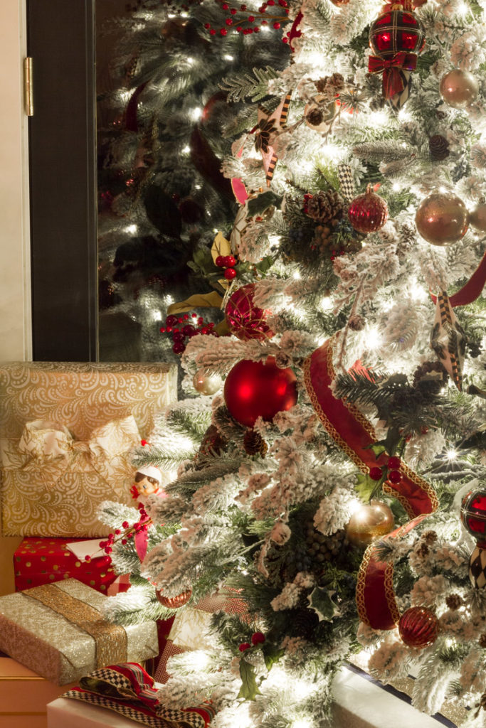 Christmas Nights Tour 2017 - zevy joy