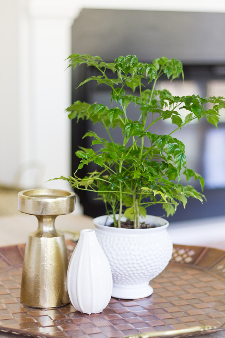 A gold tray with a small white vase, a larger planter with a green plant and a gold candlestick on it.