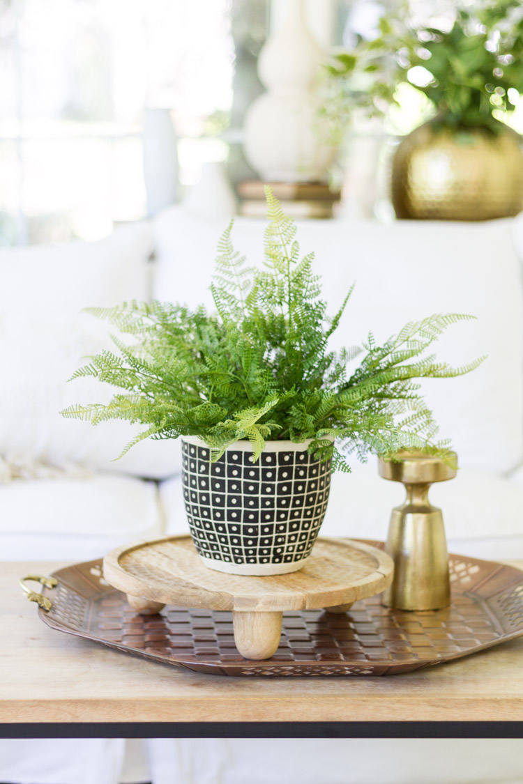 Fern in pot on side table.