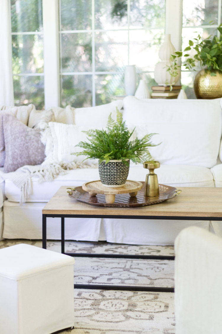 Coffee table with plant on top.