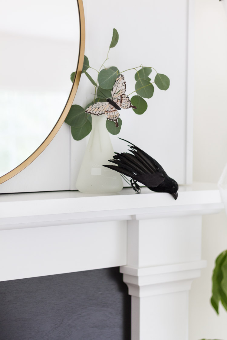 A butterfly and black crow on the white mantel.