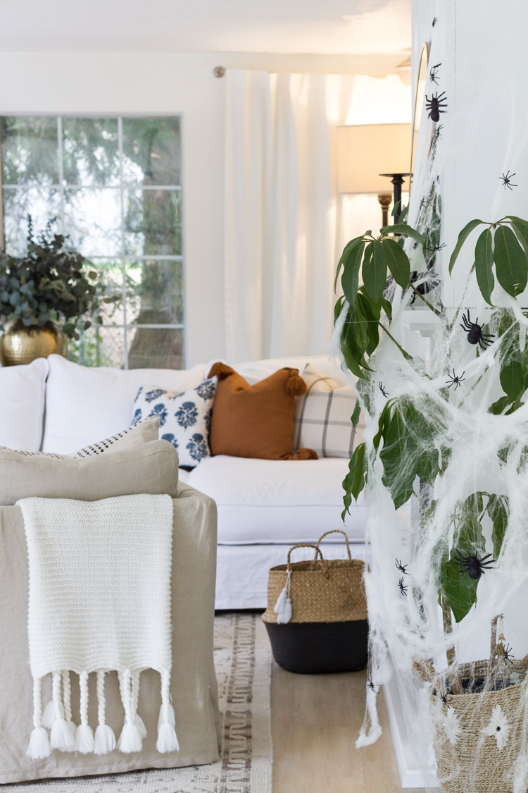 White and beige couches with green plant covered in cobwebs.