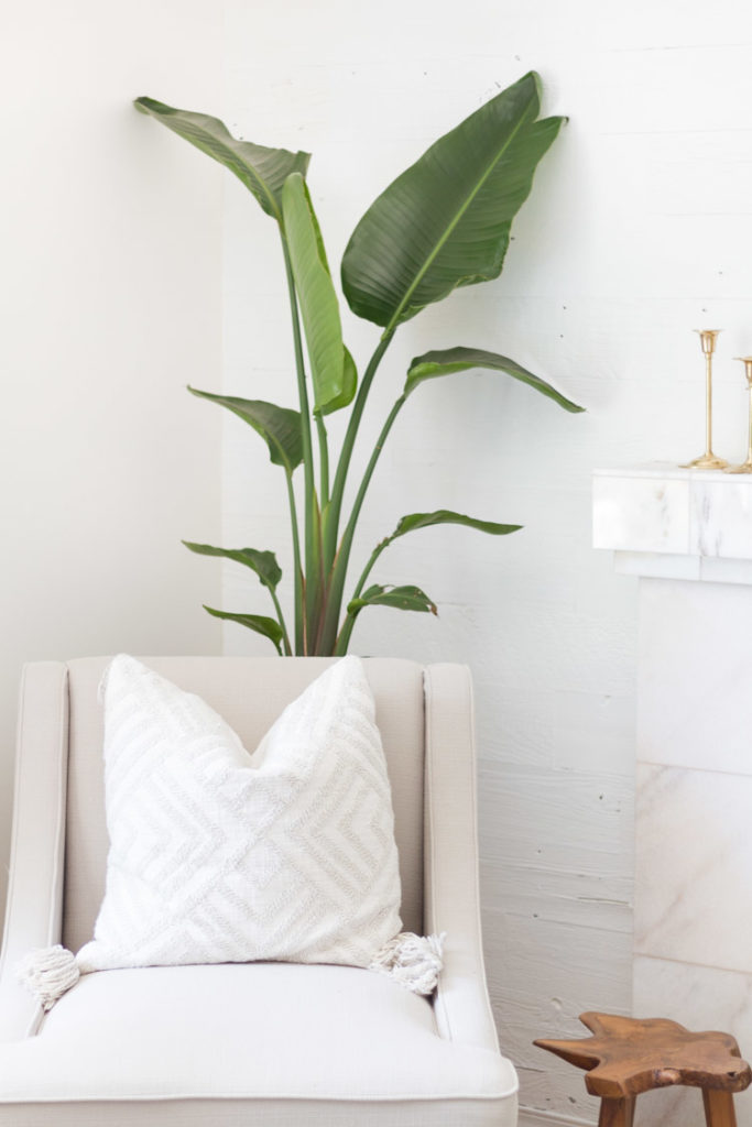 Easy Indoor Plants and Summer Living Room_