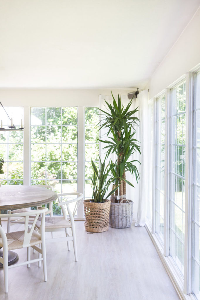 Easy Indoor Plants and Summer Living Room_