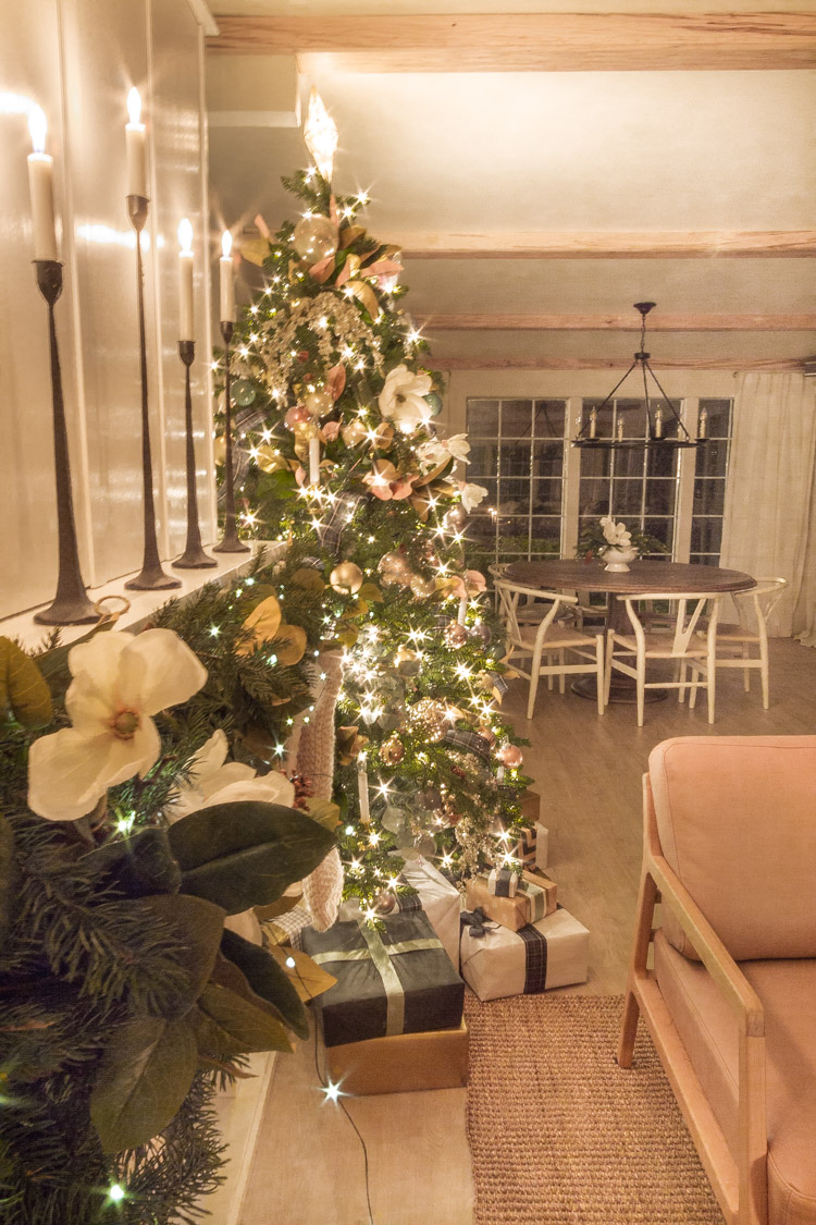 Christmas Nights Tour 2019 - zevy joy