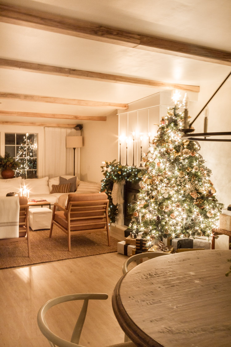 Christmas Nights Tour 2019 - zevy joy