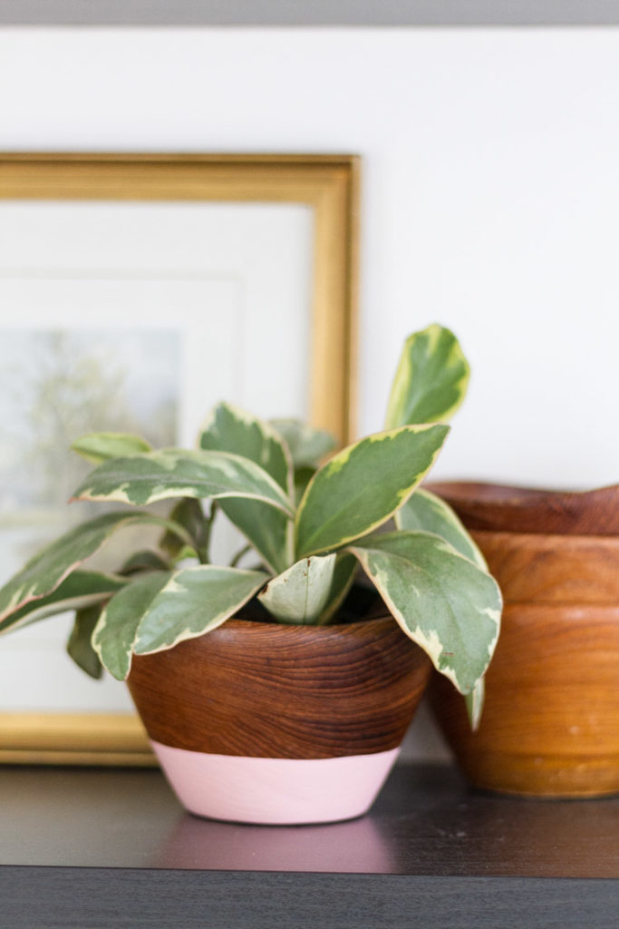 Spring DIY - Painted Wooden Bowls 7