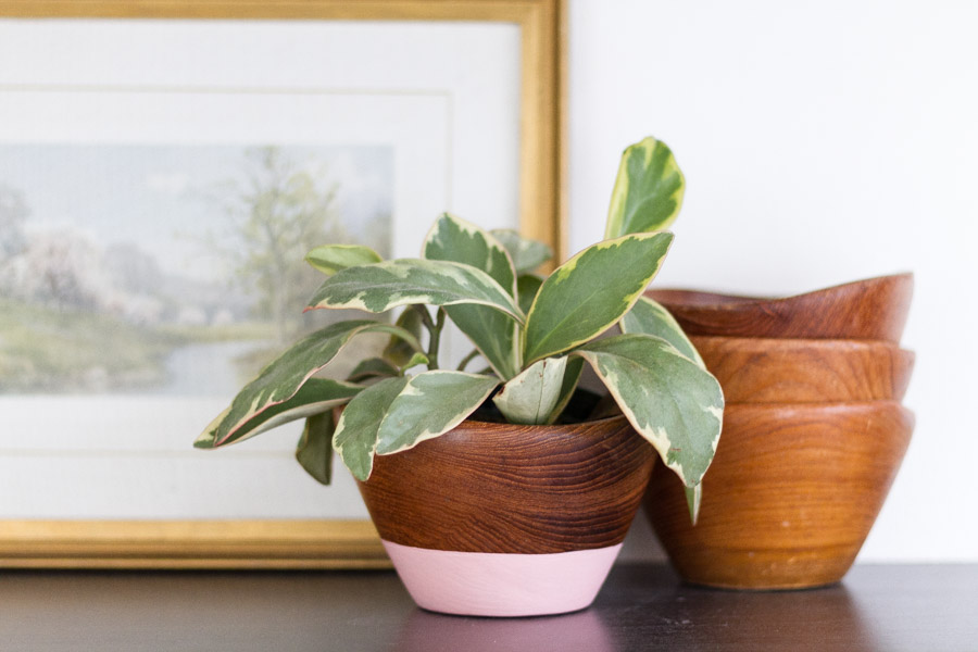 Spring DIY - Painted Wooden Bowls 7