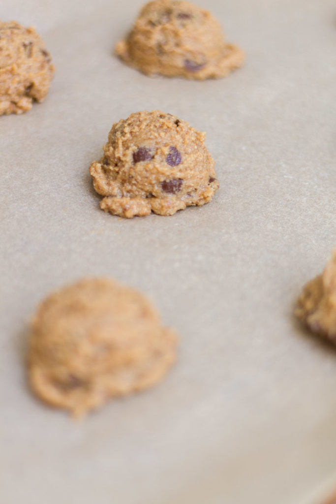 The Best Gluten Dairy Egg Free Chocolate Chip Cookies