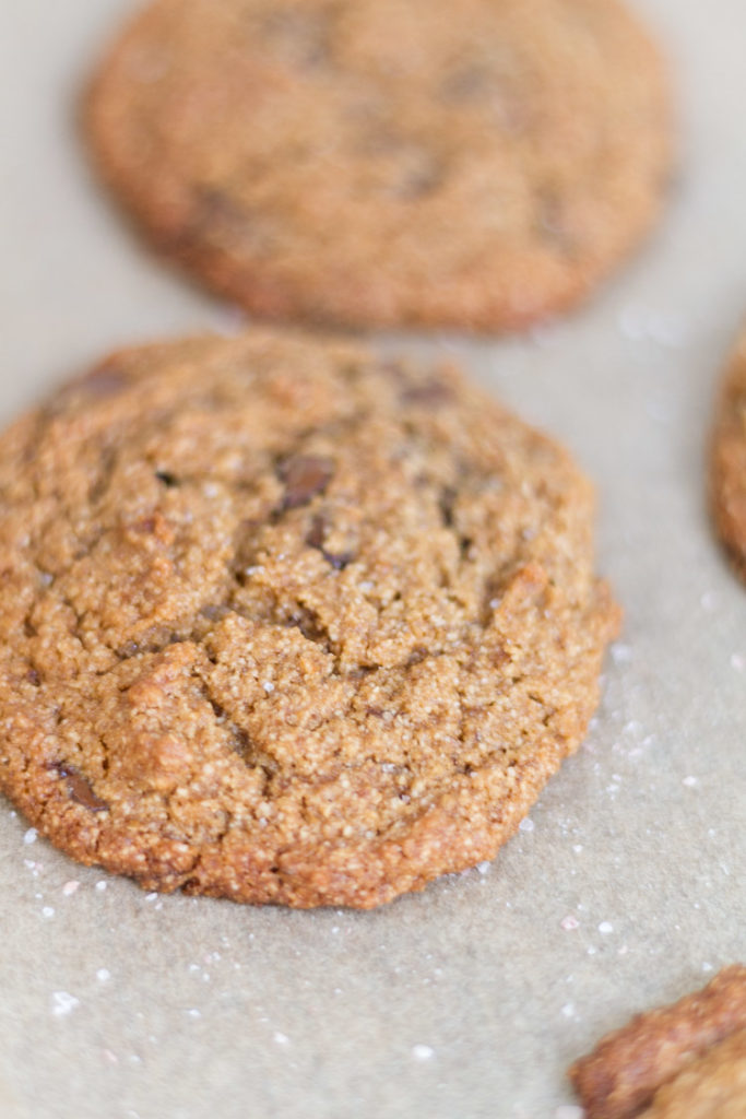 The Best Gluten Dairy Egg Free Chocolate Chip Cookies