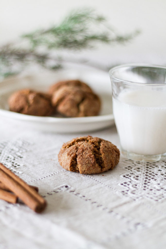 Gluten/Dairy Free Snickerdoodle Cookie Recipe