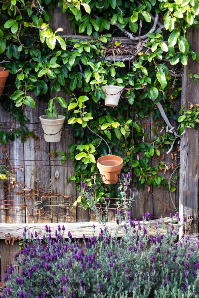 Garden Tips And Ideas From Our New Yard